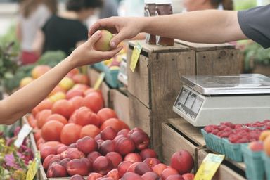 Carte de fidélité pour marchands de fruits et légumes