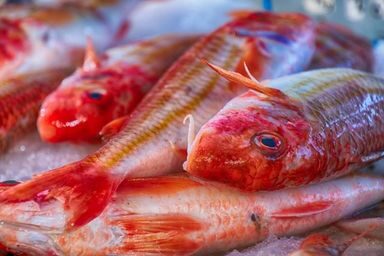 Poissonneries Fidélisation poissons, crustacés